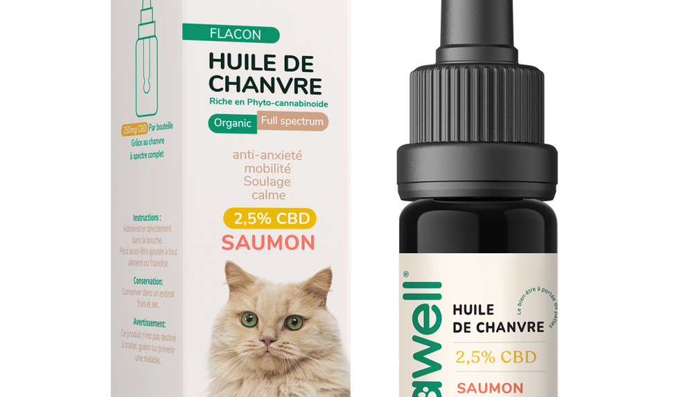The Top CBD Oil Brands for Cats